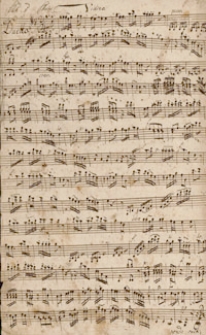 [Violina]