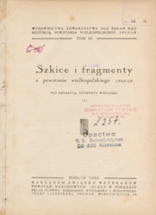 Szkice i Fragmenty z Powstania Wielkopolskiego 1918/19